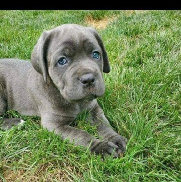 Meet your Posher, Kelly - Picture 1 of 1